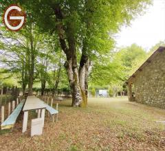 Appartamenti in Vendita - Casa indipendente in vendita a molochio periferia