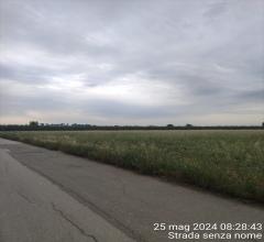 Appartamenti in Vendita - Terreno agricolo in vendita a cerignola san marco