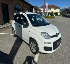 Auto - Fiat panda 1.2 easy