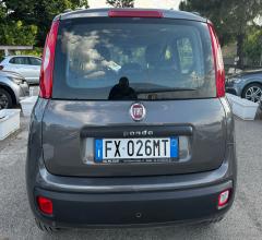 Auto - Fiat panda 1.2 connected by wind