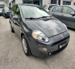 Auto - Fiat punto 1.2 8v 5p. street
