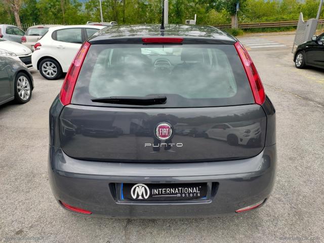 Auto - Fiat punto 1.2 8v 5p. street