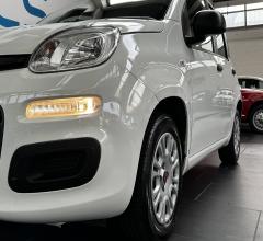Auto - Fiat panda 1.2 easy