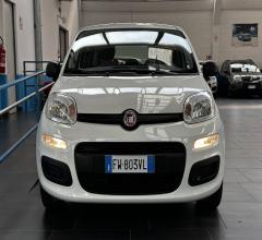 Auto - Fiat panda 1.2 easy