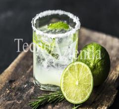 Appartamenti in Vendita - Tecnoazienda - cocktail bar