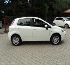 Auto - Fiat punto 1.3 mjt ii s&s 85 cv 5p. eco pop