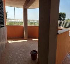 Appartamenti in Vendita - Ufficio in affitto a acerra spiniello