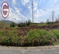 Terreno industriale in vendita a cinquefrondi zona semicentrale