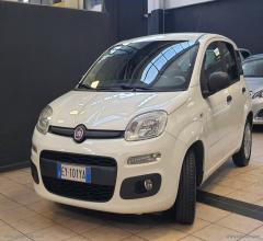 Auto - Fiat panda 1.2 easy
