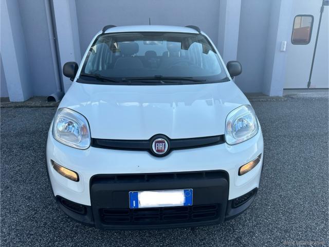 Auto - Fiat panda 1.0 firefly s&s hybrid city life