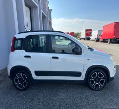 Auto - Fiat panda 1.0 firefly s&s hybrid city life