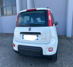 Auto - Fiat panda 1.0 firefly s&s hybrid city life