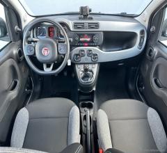 Auto - Fiat panda 1.0 firefly s&s hybrid city life