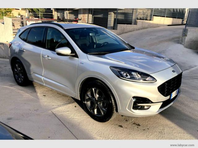 Auto - Ford kuga 1.5 ecoblue 120 cv 2wd titanium x