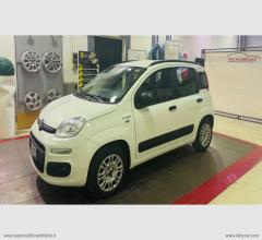 Auto - Fiat panda 1.2 lounge