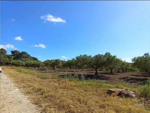 Appartamenti in Vendita - Terreno edificabile in vendita a misiliscemi fontanasalsa