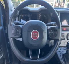Auto - Fiat panda 1.0 firefly s&s hybrid city cross