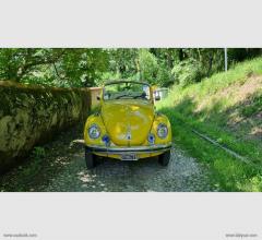 Auto - Volkswagen maggiolino cabriolet
