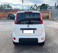 Auto - Fiat panda city life gpl 1.2 69cv