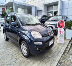 Auto - Fiat panda 1.2 lounge gpl