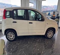 Auto - Fiat panda 1.2 trussardi
