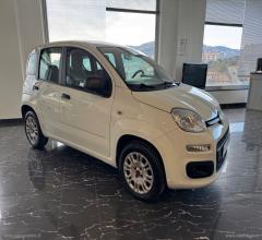 Auto - Fiat panda 1.2 trussardi
