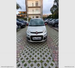 Auto - Fiat panda 1.2 lounge