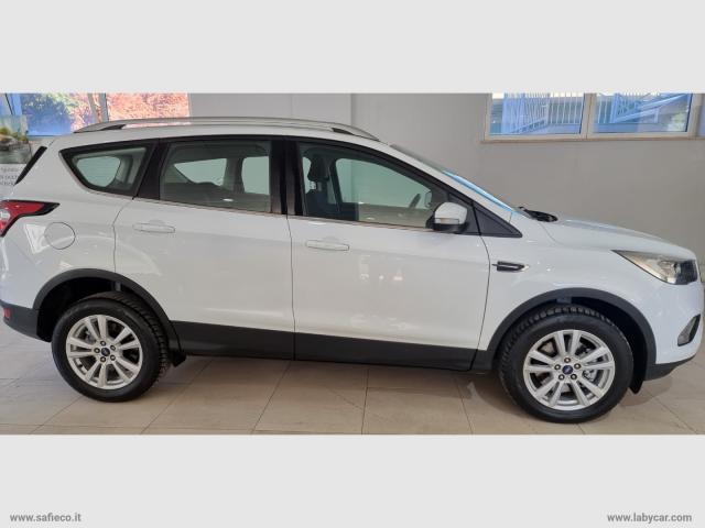 Auto - Ford kuga 2.0 tdci 150cv s&s 4wd pow.business
