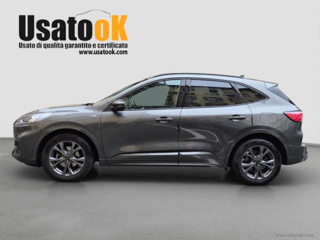 Auto - Ford kuga 1.5 ecoblue 120 cv aut. 2wd st-line