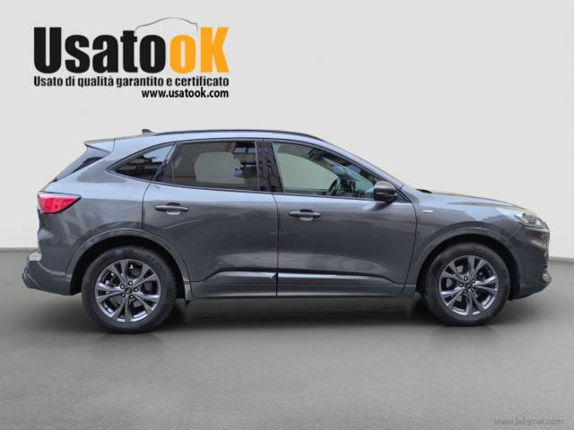 Auto - Ford kuga 1.5 ecoblue 120 cv aut. 2wd st-line
