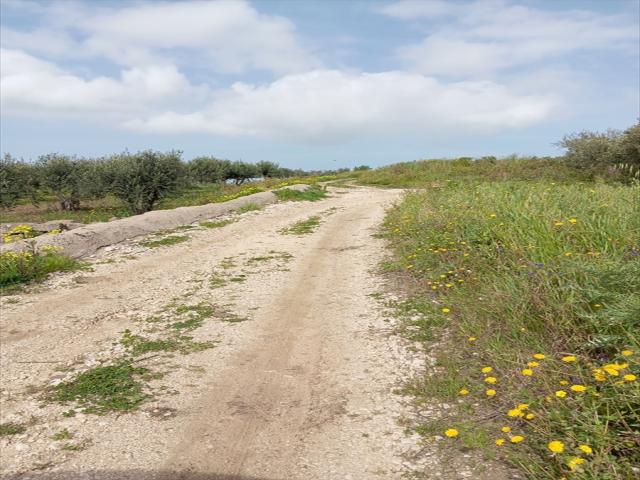 Appartamenti in Vendita - Terreno agricolo in vendita a erice napola