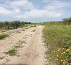 Appartamenti in Vendita - Terreno agricolo in vendita a erice napola
