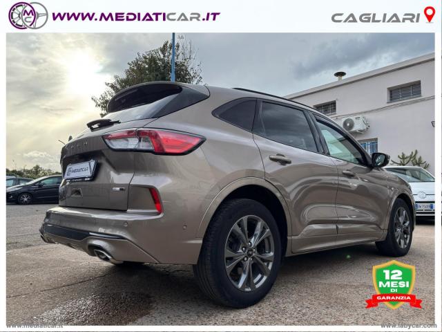 Auto - Ford kuga 2.0 ecoblue hybrid 150cv 2wd st-l.