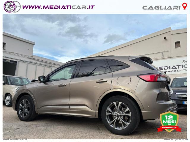 Auto - Ford kuga 2.0 ecoblue hybrid 150cv 2wd st-l.