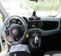 Auto - Fiat panda 1.0 firefly s&s hybrid city cross
