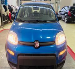 Auto - Fiat fiat panda 1.0 70cv hybrid pandina