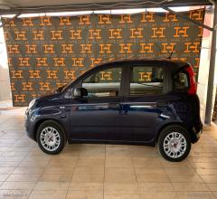Auto - Fiat panda 1.0 firefly s&s hybrid easy