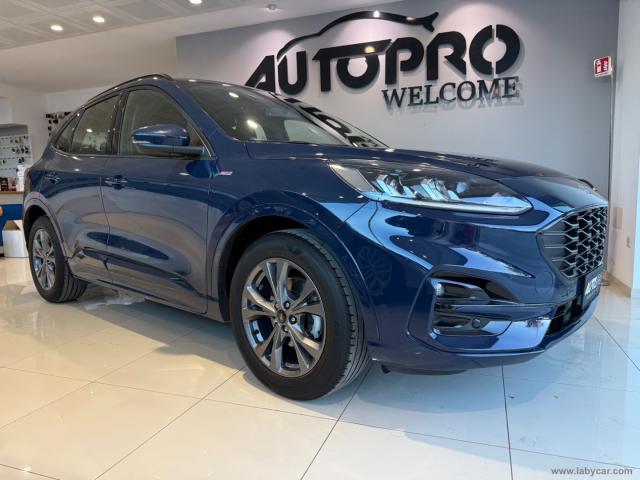 Auto - Ford kuga 1.5 ecoblue 120 cv aut. 2wd st-line