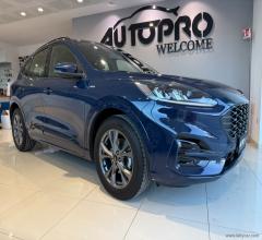 Auto - Ford kuga 1.5 ecoblue 120 cv aut. 2wd st-line