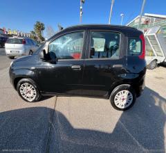 Auto - Fiat panda 1.3 mjt s&s lounge