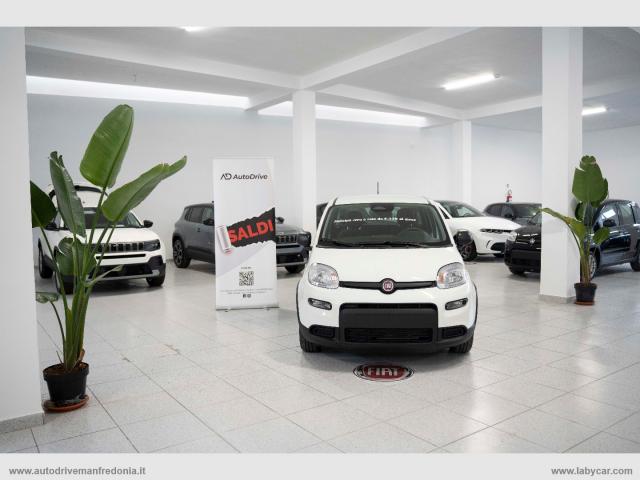 Auto - Fiat panda 1.0 firefly s&s hybrid pandina