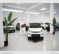 Fiat panda 1.0 firefly s&s hybrid pandina