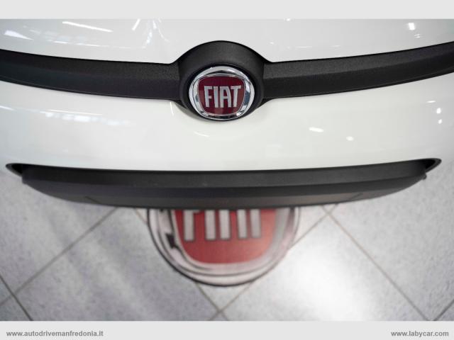 Auto - Fiat panda 1.0 firefly s&s hybrid pandina