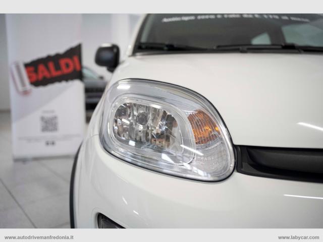 Auto - Fiat panda 1.0 firefly s&s hybrid pandina