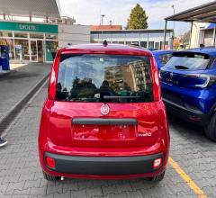 Auto - Fiat panda 1.0 firefly s&s hybrid