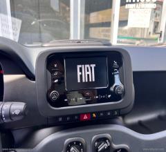 Auto - Fiat panda 1.0 firefly s&s hybrid
