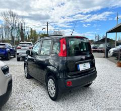 Auto - Fiat panda 1.3 mjt pop