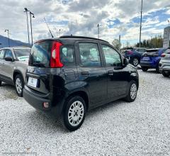 Auto - Fiat panda 1.3 mjt pop