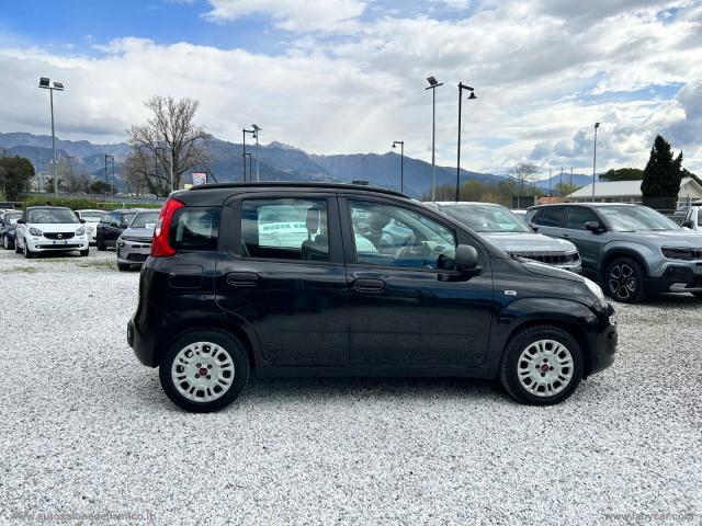 Auto - Fiat panda 1.3 mjt pop