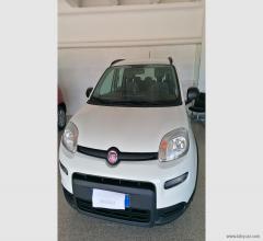 Auto - Fiat panda 1.0 firefly s&s hybrid city life